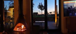 Vacation on the farm