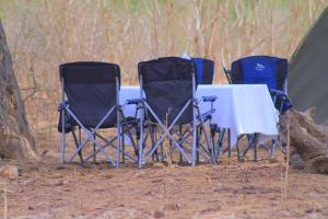 Ntee Safaris and Tours