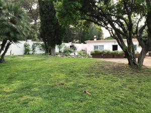 Luxury Villa with Swimming Pool in Rome