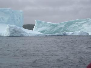 Wildberry Lodge near St Anthony