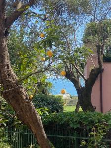 Tra il verde e lazzurro