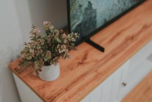 Luxury Apartment of Suceava