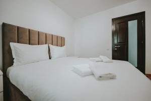 Luxury Apartment of Suceava