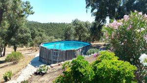 Casa de Celebrar a Vida