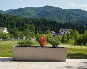 Котедж Шпаківня