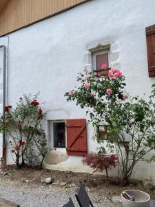 Maisonnette