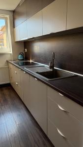 Apartment by the Fountain in the Center of Banska Bystrica