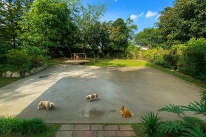 Bali inspired Villa in Tagaytay with Pool and Billiards up to 12pax