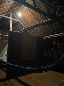 Walking Shark Guest House