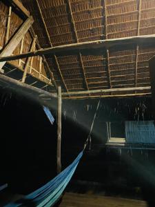 Walking Shark Guest House