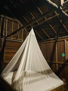 Walking Shark Guest House