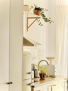 Placeta Serna El Capricho