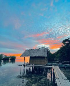 Walking Shark Guest House