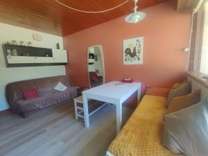 Appartements Studio avec vue montagne au pied des pistes : photos des chambres