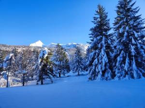 Studio avec vue montagne au pied des pistes
