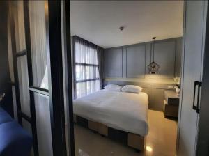 The Palmirah Surin by SP