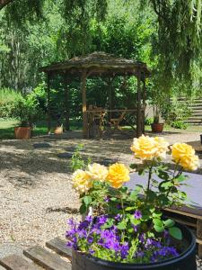 Sophie LE FEUVRE - Soins Energétiques