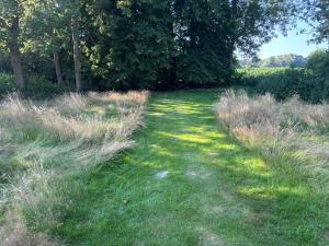 Gasthaus zur Grenze Zeltplatz