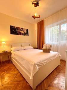 Apartament Aerodrom Barza