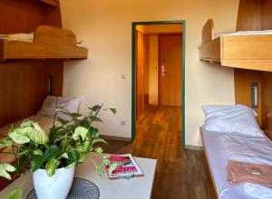 Quadruple Room room in Junges Hotel Tulln