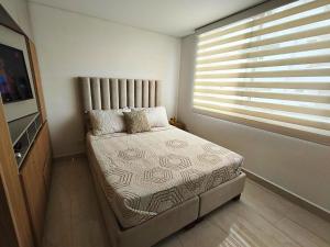 Cali - Lindo Estudio Colors del Refugio