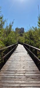 Sonias Apartment Arenales