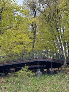 ORBI Bakuriani ROOMs B7