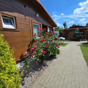 Domki letniskowe SOKÓŁ