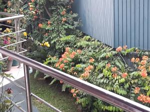 Hillstream Home Stay