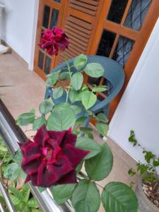 Hillstream Home Stay