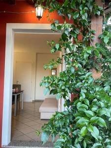 Casa vacanze Castellara