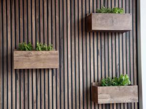 Superior Petit Studio