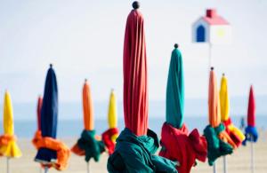 Villas Secret Brick Garden Deauville : photos des chambres