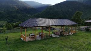 Guesthouse Ushba View