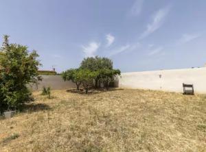 La casa di Isotta Trapani