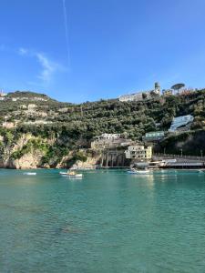 Loblo sul mare Sorrento Coast