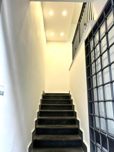 Loblo sul mare Sorrento Coast