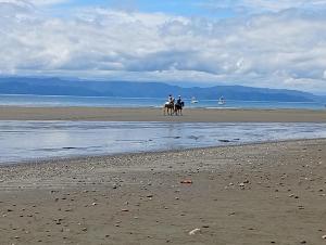 Amazona un pequeño mundo de corcobado serca del oceano