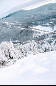 Sunny & Open 2 Bdrm - Close to Stowe Village, Shopping, Mtn Views!