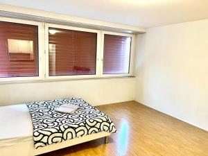 Downtown Flats, Lake Lucerne