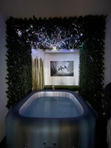 Appartements La Parenthese Romantique : photos des chambres