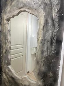 Appartements La Parenthese Romantique : photos des chambres