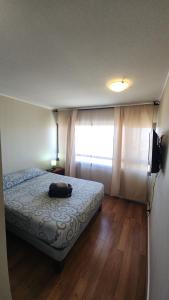 Cómodo depto en Calama centro