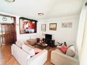 Stunning Danube Villa