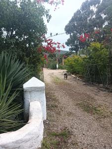 Koringberg siding cottage