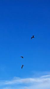 Cabaña desde 4 huéspedes 560 metros cuadrados con Naturaleza a 300 metros mar