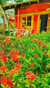 Cabaña desde 4 huéspedes 560 metros cuadrados con Naturaleza a 300 metros mar