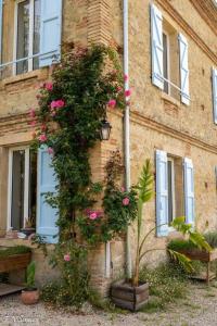 B&B / Chambres d'hotes Aux roses de Cedres : photos des chambres