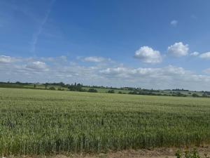 Peaceful brand new bungalow