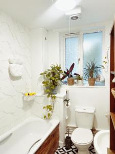 Cozy Studio Apartment